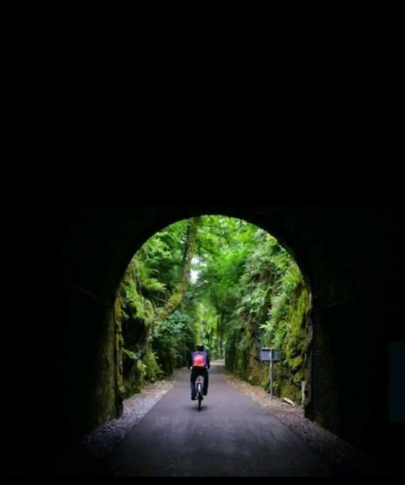 Kozy Kabin Waterford Buitenkant foto