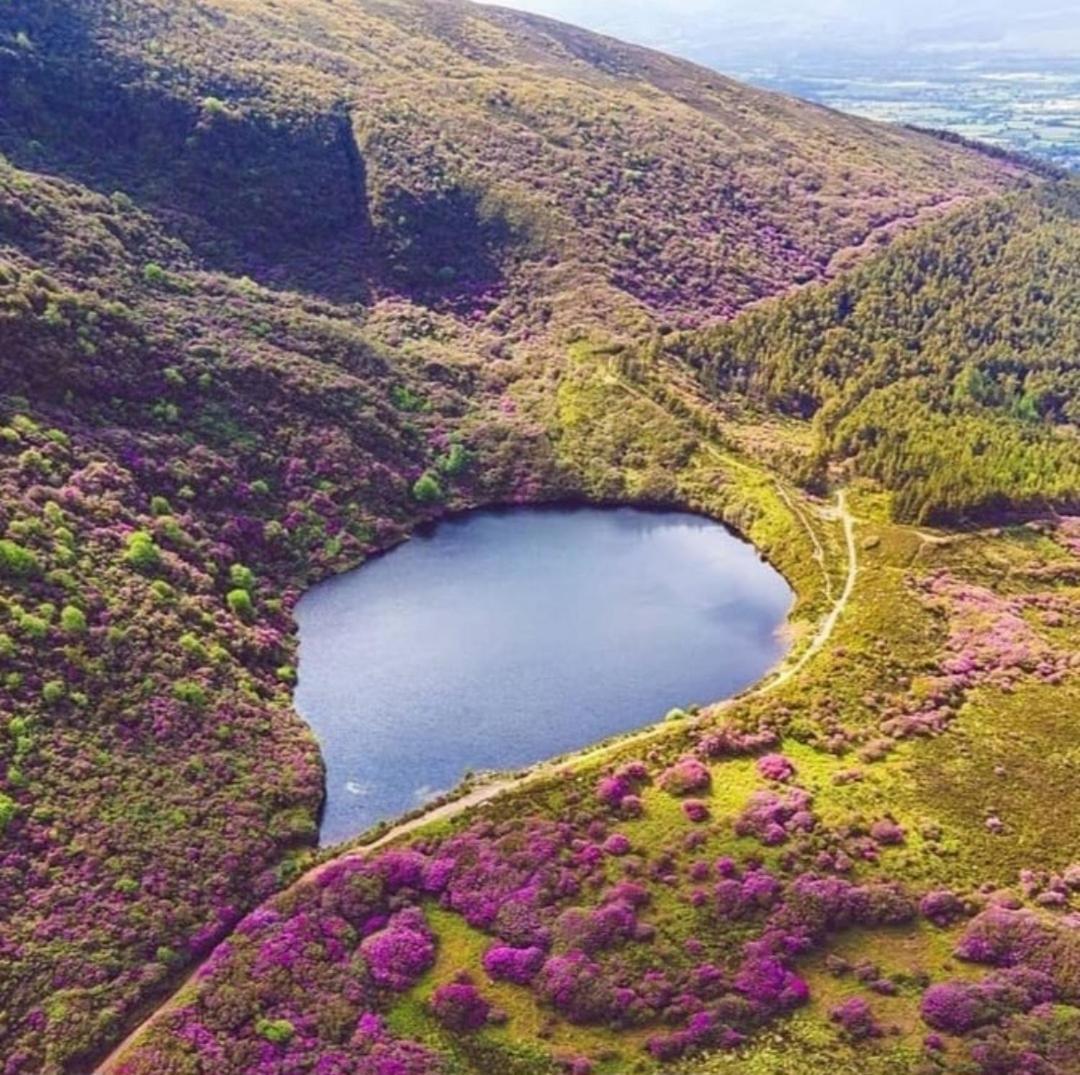 Kozy Kabin Waterford Buitenkant foto